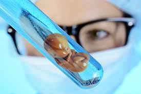 Frozen embryo transfer