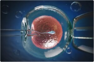 Pre-embryo transfer care