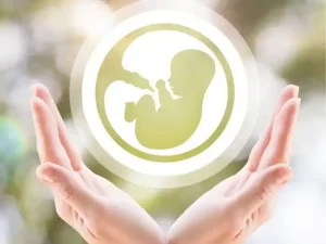 conditions of embryo donation