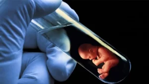 success rate of embryo donation