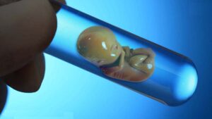 pregnancy with donated embryo