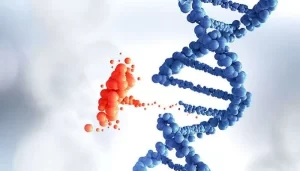 انتقال بیماری ژنتیکی