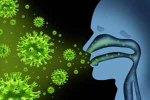 influenza virus