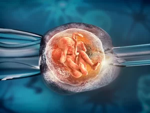Frozen Embryos Transfer
